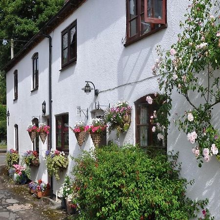 West Haddon Shepherds Row Bed And Breakfast المظهر الخارجي الصورة